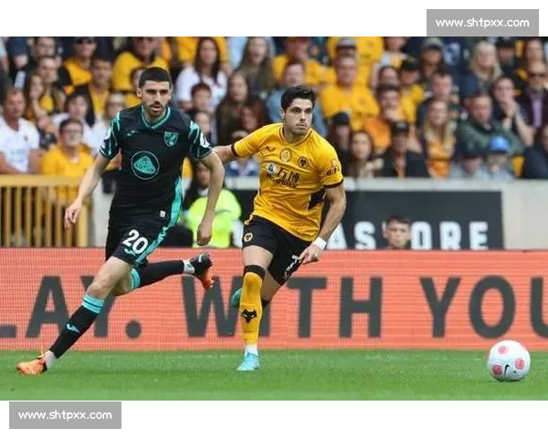 全球热门足球赛事直播入口一站式观看平台推荐